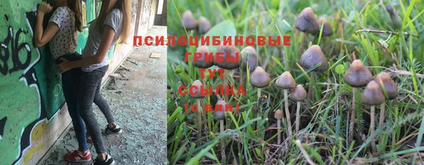 меф Алексин