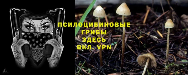трава Абинск