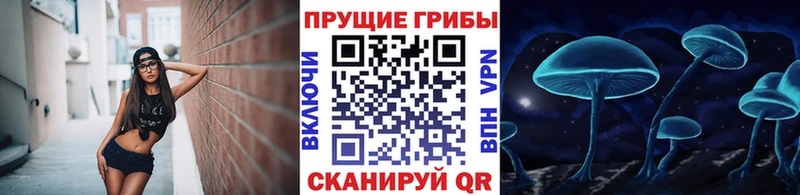 даркнет сайт  Прокопьевск  omg сайт  Галлюциногенные грибы Psilocybine cubensis 