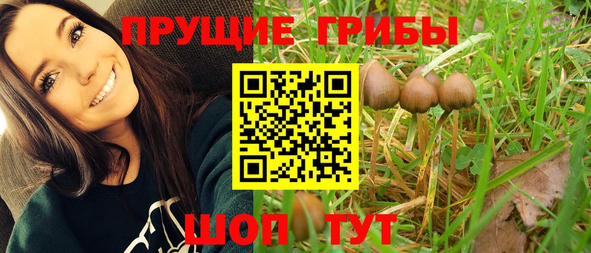 LSD-25  МАРИХУАНА  Прокопьевск  Меф МЯУ МЯУ   Мефедрон  Экстази  ГАШИШ  Alpha PVP СК   Вход с VPN 