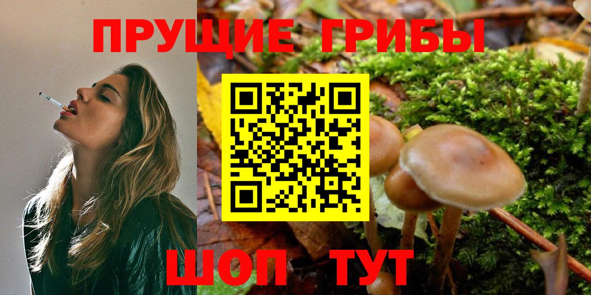 Псилоцибиновые грибы Cubensis Прокопьевск