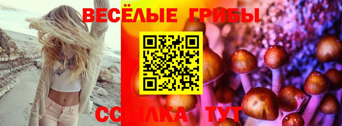 Галлюциногенные грибы прущие грибы  Псилоцибиновые грибы мицелий  Вход с VPN  Прокопьевск 