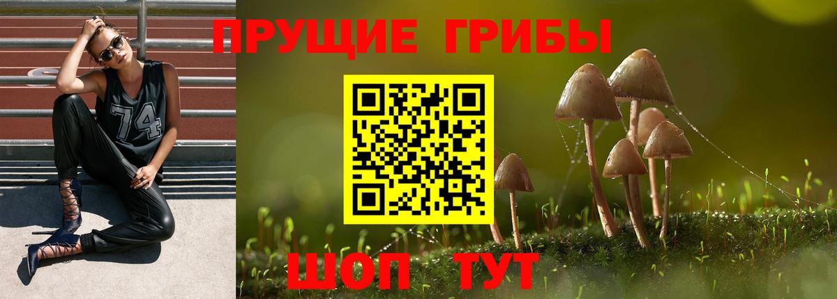 Прокопьевск  Галлюциногенные грибы Magic Shrooms  Вход с VPN 
