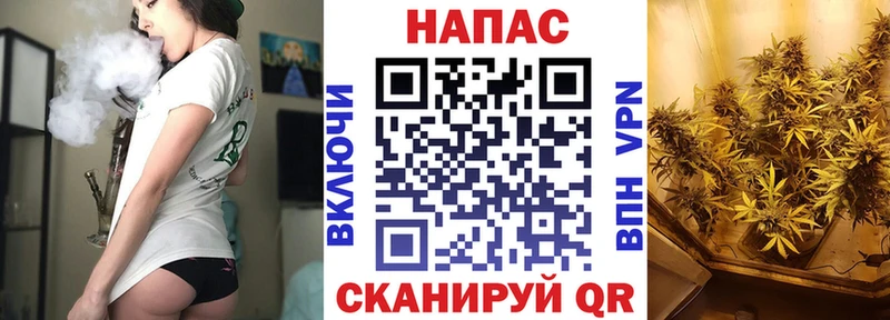 где можно купить наркотик  Прокопьевск  МАРИХУАНА индика 